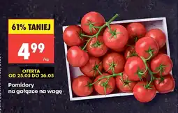 Biedronka Pomidory na gałązce oferta