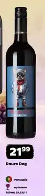 Netto Wino Douro Dog czerwone wytrawne oferta