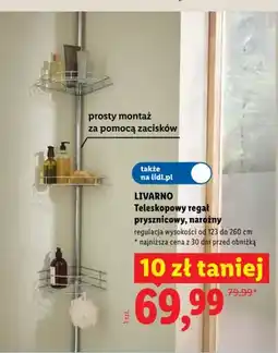 Lidl Teleskopowy regał prysznicowy narożny LIVARNO oferta