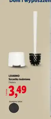 Lidl Szczotka toaletowa Livarno oferta