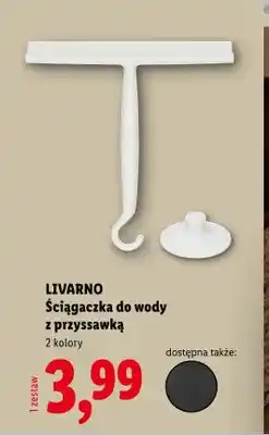 Lidl Ściągaczka do wody z przyssawką Livarno oferta