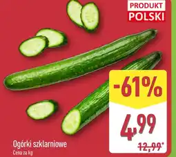 ALDI Ogórki Polski oferta