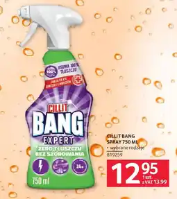 Selgros Cillit Bang Expert Spray oferta
