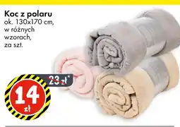 Tedi Koc z polaru oferta