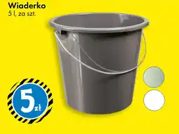 Tedi Wiadereko oferta