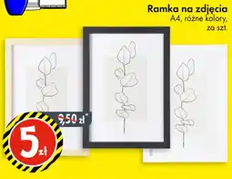 Tedi Ramka na zdjęcia oferta