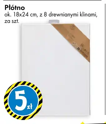 Tedi Płótno oferta