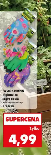Kaufland Workmann Rękawice ogrodowe oferta