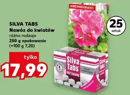Kaufland Silva tabs Nawóz do kwiatów oferta