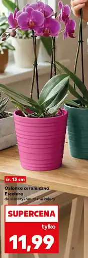 Kaufland Osłonka ceramiczna Escalera oferta