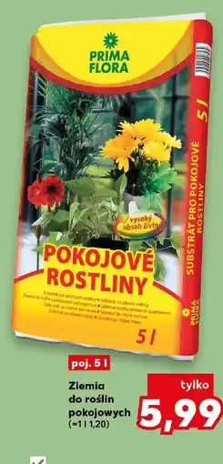 Kaufland Prima flora Ziemia do roślin pokojowych oferta