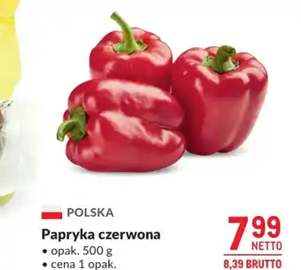 Makro Papryka czerwona oferta