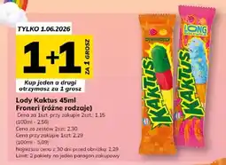 Hitpol Froneri Lody Kaktus oferta