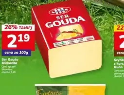 Hitpol Mlekovita Ser Gouda oferta