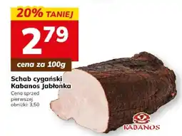 Hitpol Kabanos Jabłonka Schab cygański oferta