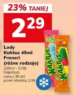 Hitpol Froneri Lody Kaktus oferta