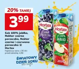 Hitpol Hortex Sok 100% jabłko, Nektar czarna porzeczka oferta