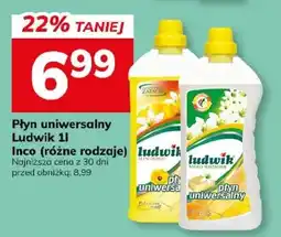 Hitpol Ludwik Płyn uniwersalny oferta