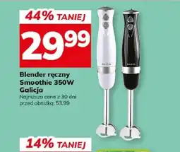 Hitpol Galicja Blender ręczny Smoothie 350W oferta