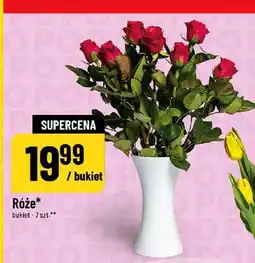 Polomarket Róże oferta