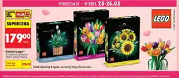 Biedronka Klocki LEGO 11502 oferta