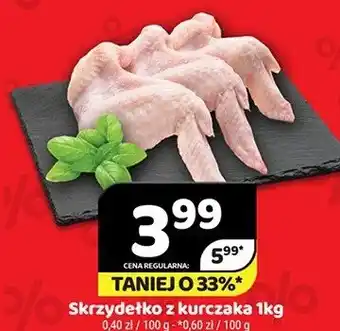 Delfin Skrzydełko z kurczaka oferta