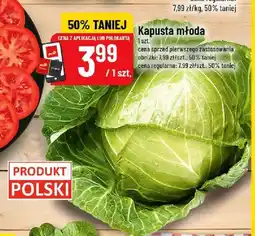 Polomarket Kapusta młoda polska oferta