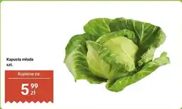 Dino Kapusta młoda 1szt oferta