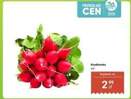Dino Rzodkiewka oferta