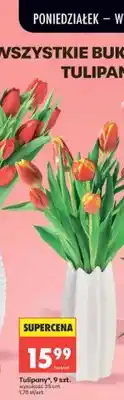 Biedronka Tulipany 9szt. wysokość 35cm oferta