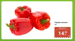 Dino Papryka czerwona oferta