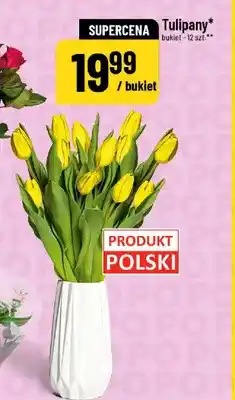 Polomarket Tulipany polskie oferta