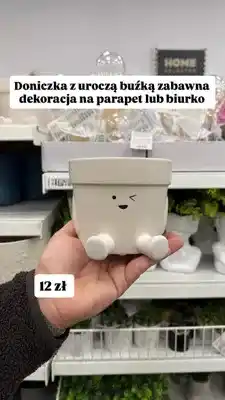 Pepco Doniczka z uroczą buźką Home Selected oferta