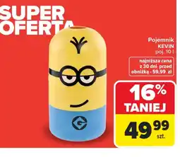 Carrefour Pojemnik Katarzyna Stoparczyk oferta