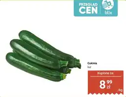 Dino Cukinia oferta
