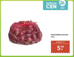 Dino Cebula dymka czerwona oferta