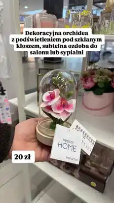 Pepco Dekoracyjna orchidea z podświetleniem pod szklanym kloszem oferta