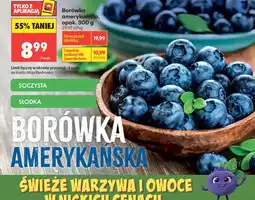 Biedronka Borówka amerykańska Biedronka oferta
