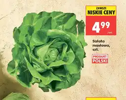 Biedronka Sałata masłowa Polski oferta