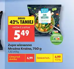 Biedronka Zupa Mroźna Kraina oferta