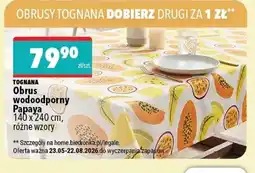 Biedronka Obrus Tognana oferta
