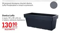 Makro Donica Lofly oferta