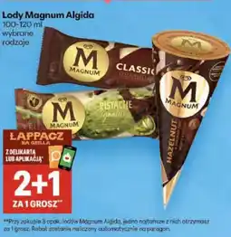 Delikatesy Centrum Lody Magnum Algida 100-120 ml wybrane rodzaje oferta