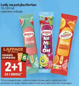 Delikatesy Centrum Lody na patyku Hortex 70-120 ml wybrane rodzaje oferta