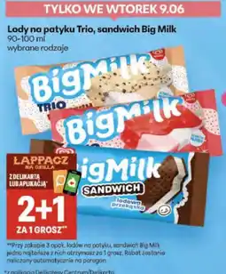 Delikatesy Centrum Lody na patyku Trio, sandwich Big Milk 90-100 ml wybrane rodzaje oferta