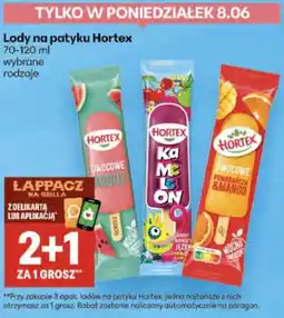 Delikatesy Centrum Lody na patyku Hortex 70-120 ml wybrane rodzaje oferta