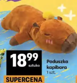 Delikatesy Centrum Poduszka kapibara oferta