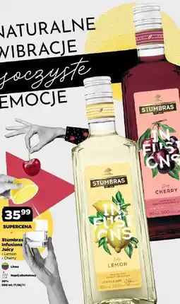 Netto Stumbras Infusions Juicy oferta