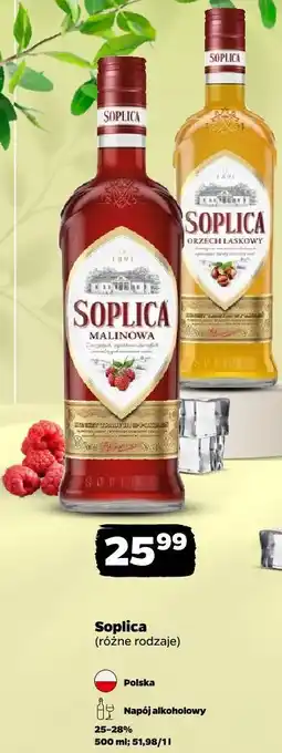 Netto Soplica (różne rodzaje) oferta