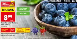 Biedronka Borówka amerykańska oferta